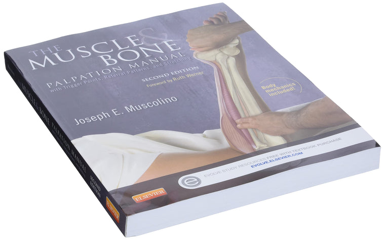 The Muscle and Bone Palpation Manual with Trigger Points, Referral Patterns and — back cover