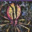 The Implied Spider