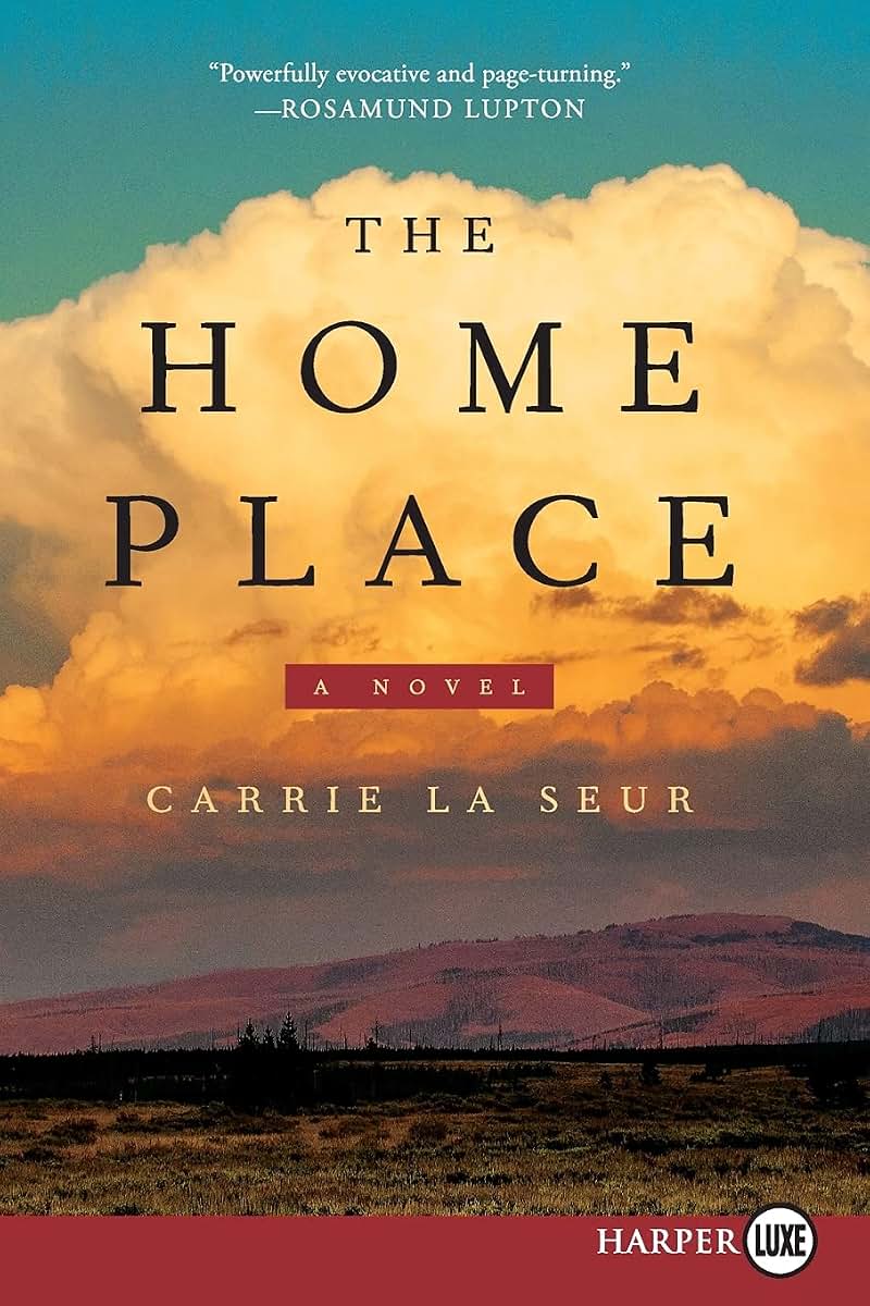 The Home Place: A Novel