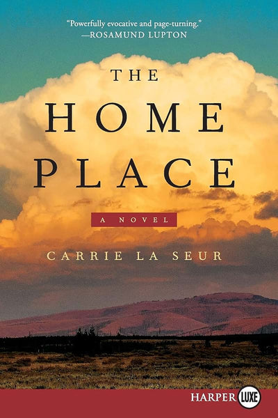 The Home Place: A Novel
