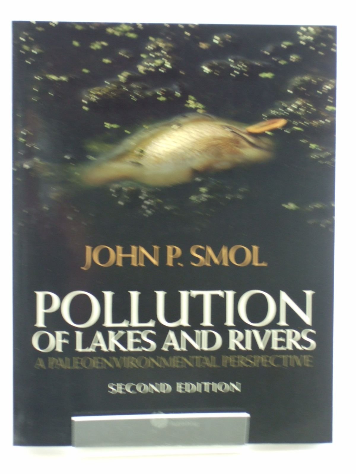 Pollution of Lakes and Rivers: A Paleoenvironmental Perspective