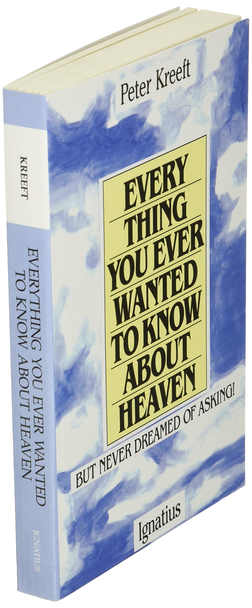 Everything You Ever Wanted to Know About Heaven: But Never D