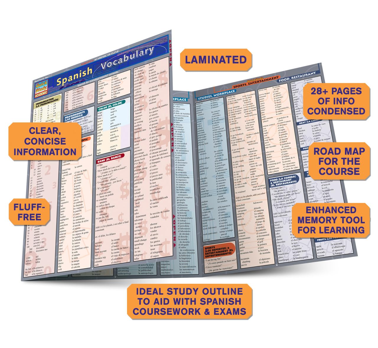 Spanish Vocabulary: a QuickStudy Laminated Reference Guide