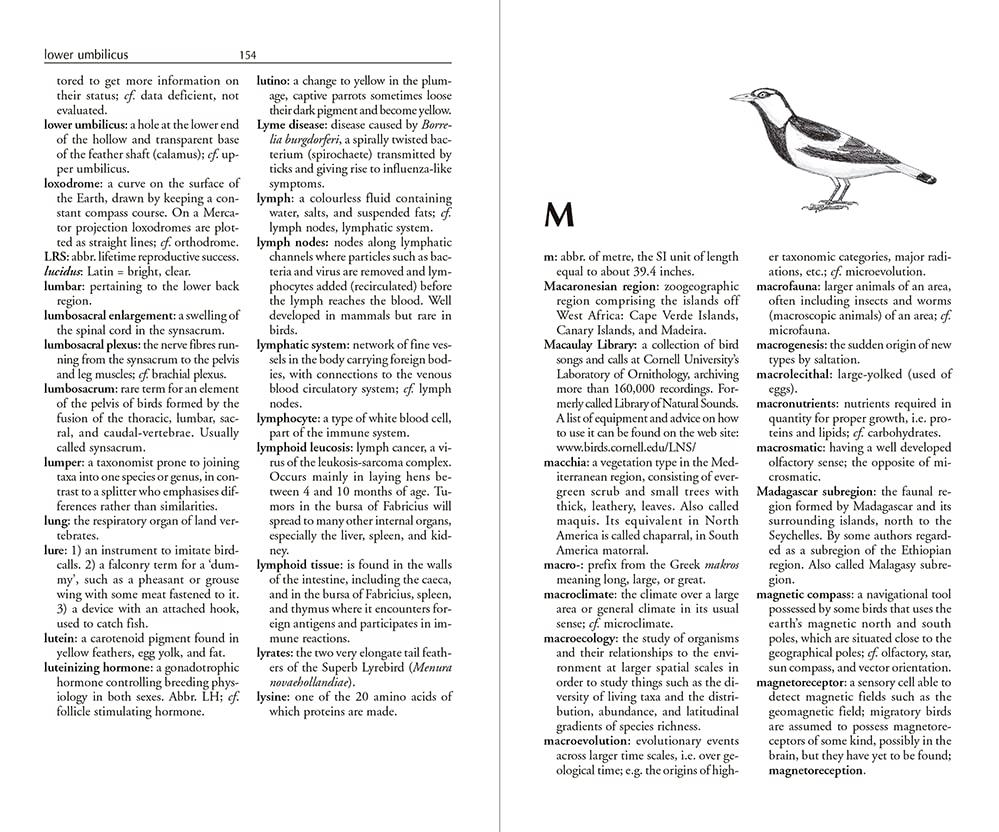 The Ornithologist's Dictionary