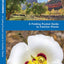 Utah Trees & Wildflowers: A Folding Pocket Guide to Familiar Plants (Wildlife and Nature Identification)