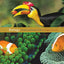 Student Interactive Workbook for Starr/Taggart's Biology: The Unity and Diversity of Life, 12th