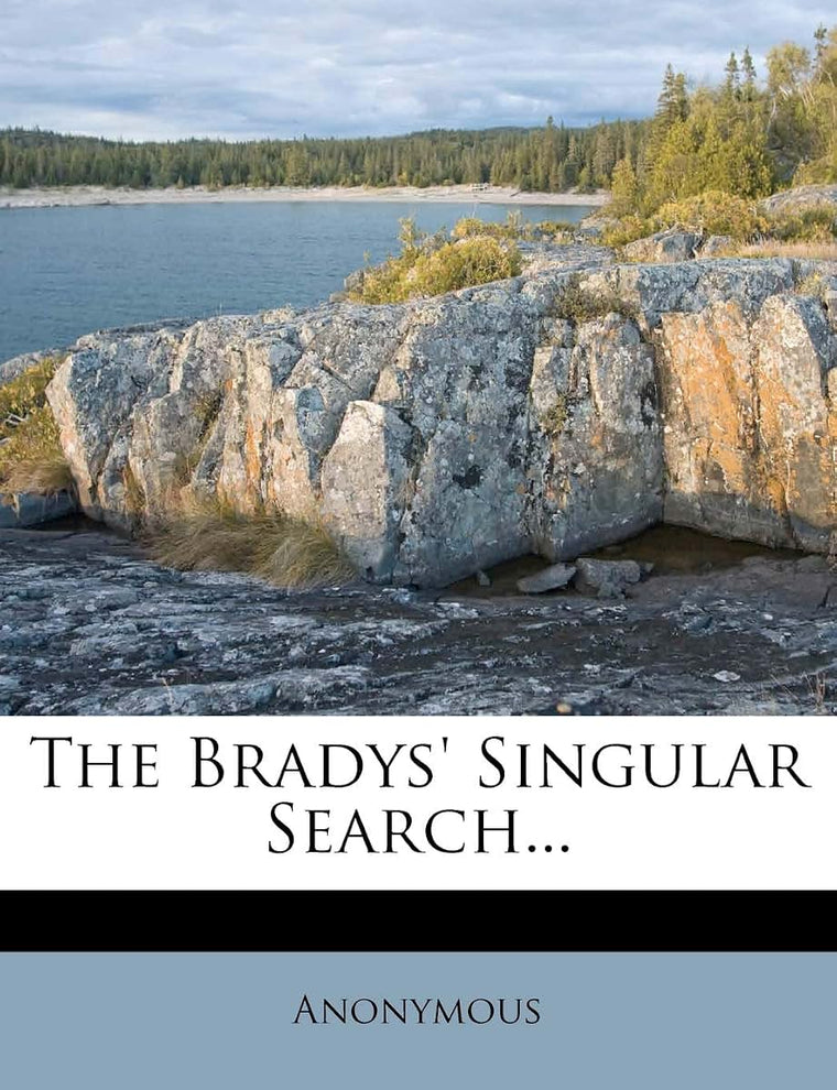 The Bradys' Singular Search...