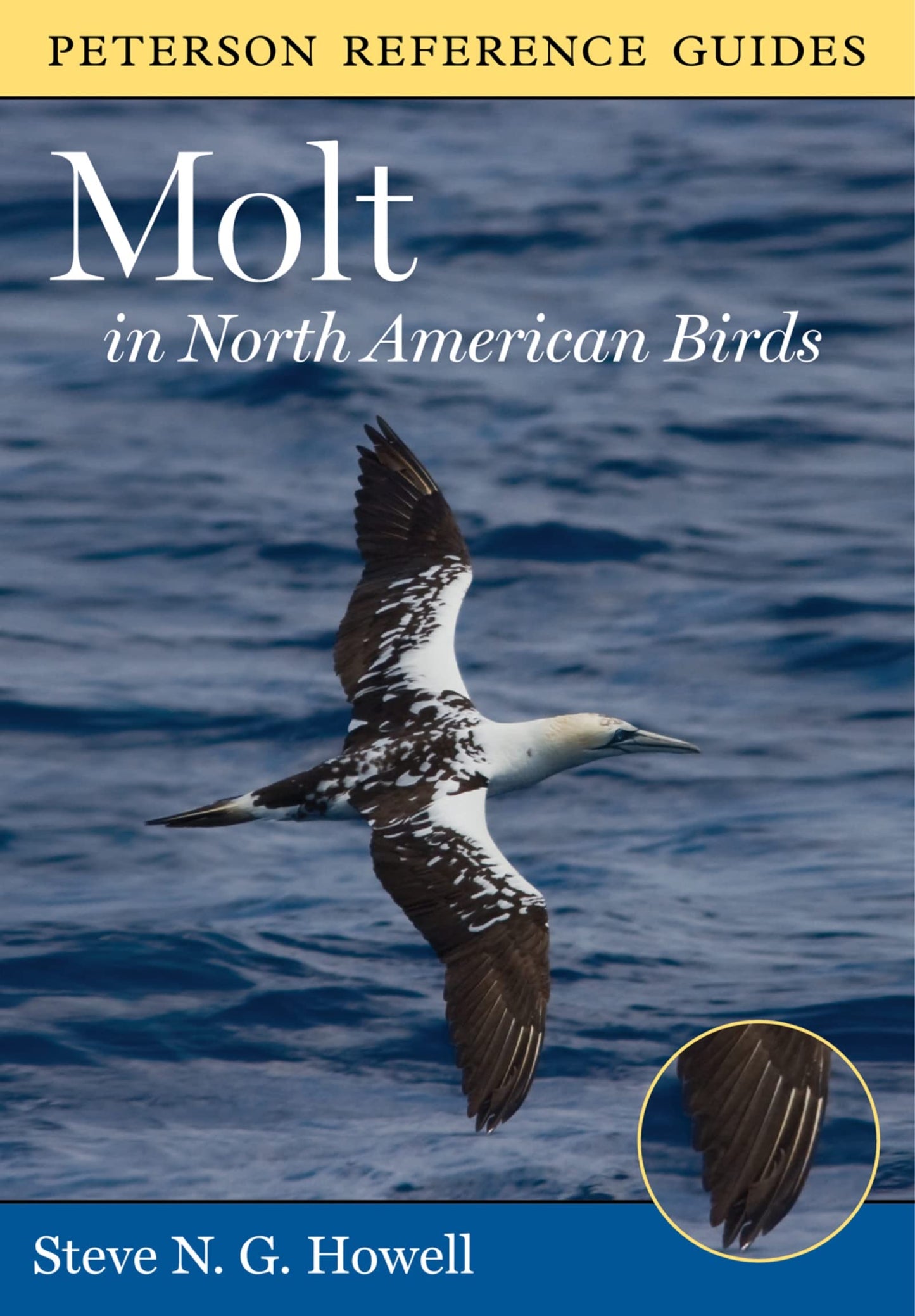 Peterson Reference Guide To Molt In North American Birds (Pe