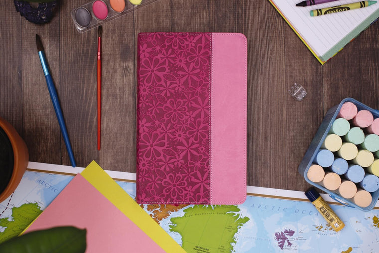 NIV Adventure Bible Leathersoft Pink Full Color by Zonde