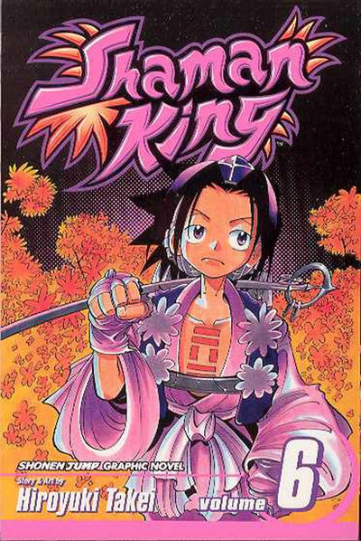 Shaman King, Vol. 6: Road Trip to Izumo