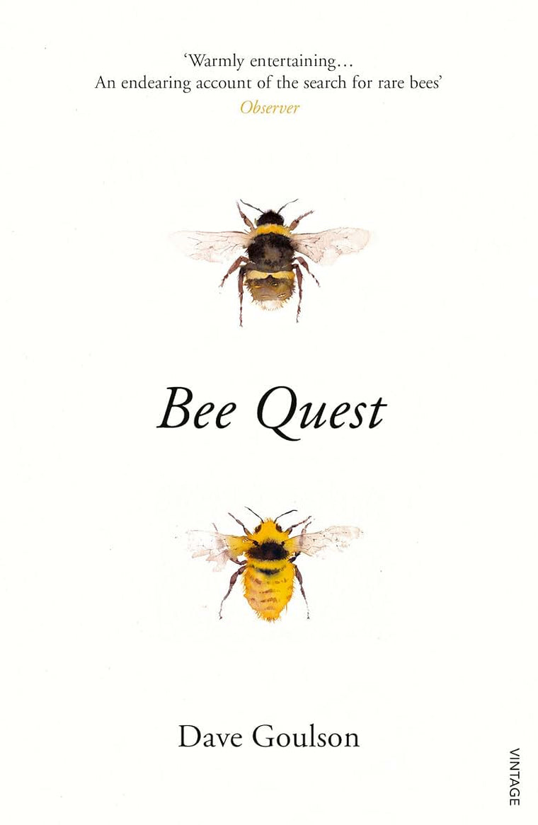 Bee Quest