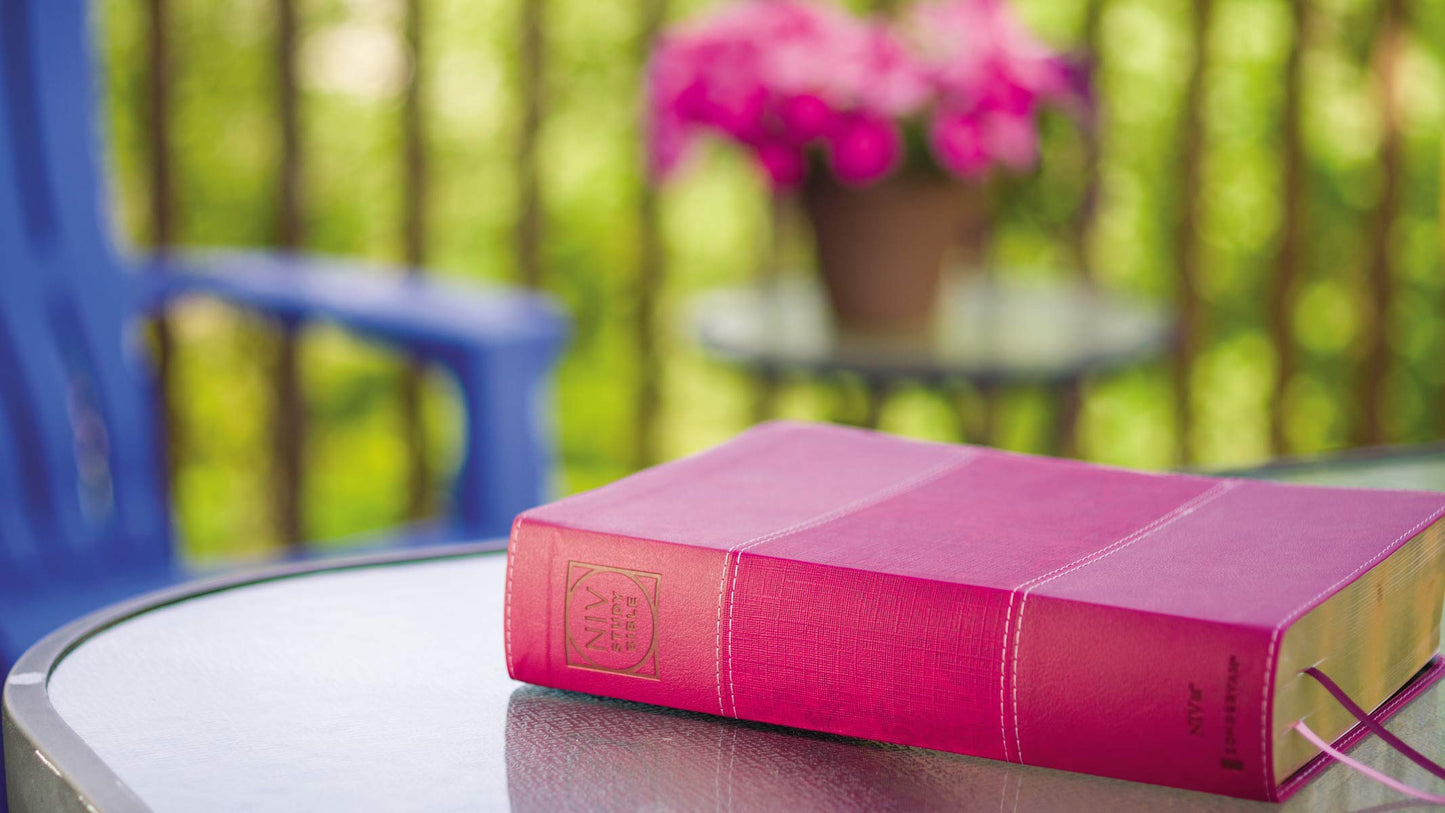 NIV Study Bible, Fully Revised Edition (Study Deeply. Believ