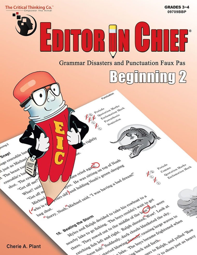 Editor in Chief: Beginning 2