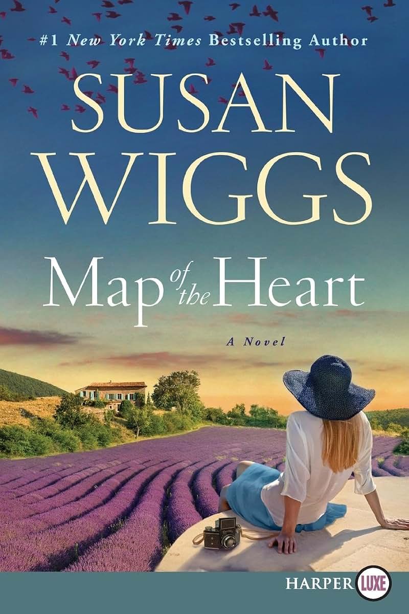 Map of the Heart: A Novel