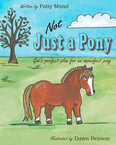 Not Just a Pony: God's perfect plan for an imperfect pony