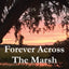 Forever Across The Marsh