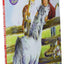 Pony Scouts: Pony Crazy (I Can Read Level 2)