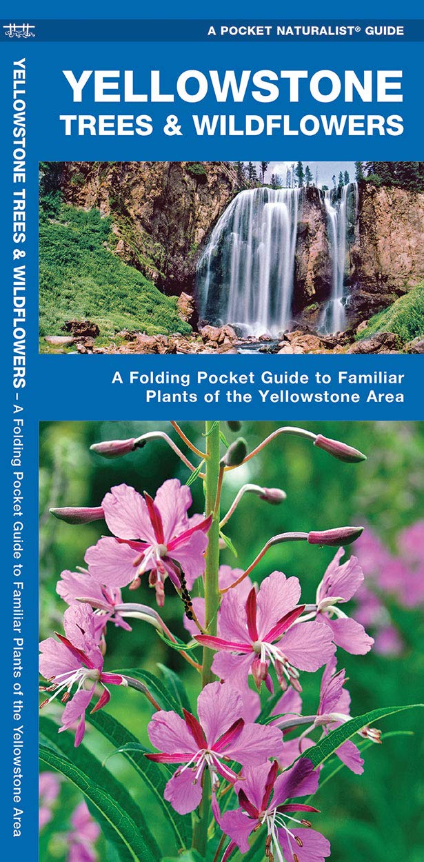 Yellowstone Trees & Wildflowers: A Folding Pocket Guide to Familiar Plants of the Yellowstone Area (Wildlife and Nature Identification)