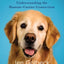 The Purest Bond: Understanding the Human-Canine Connection