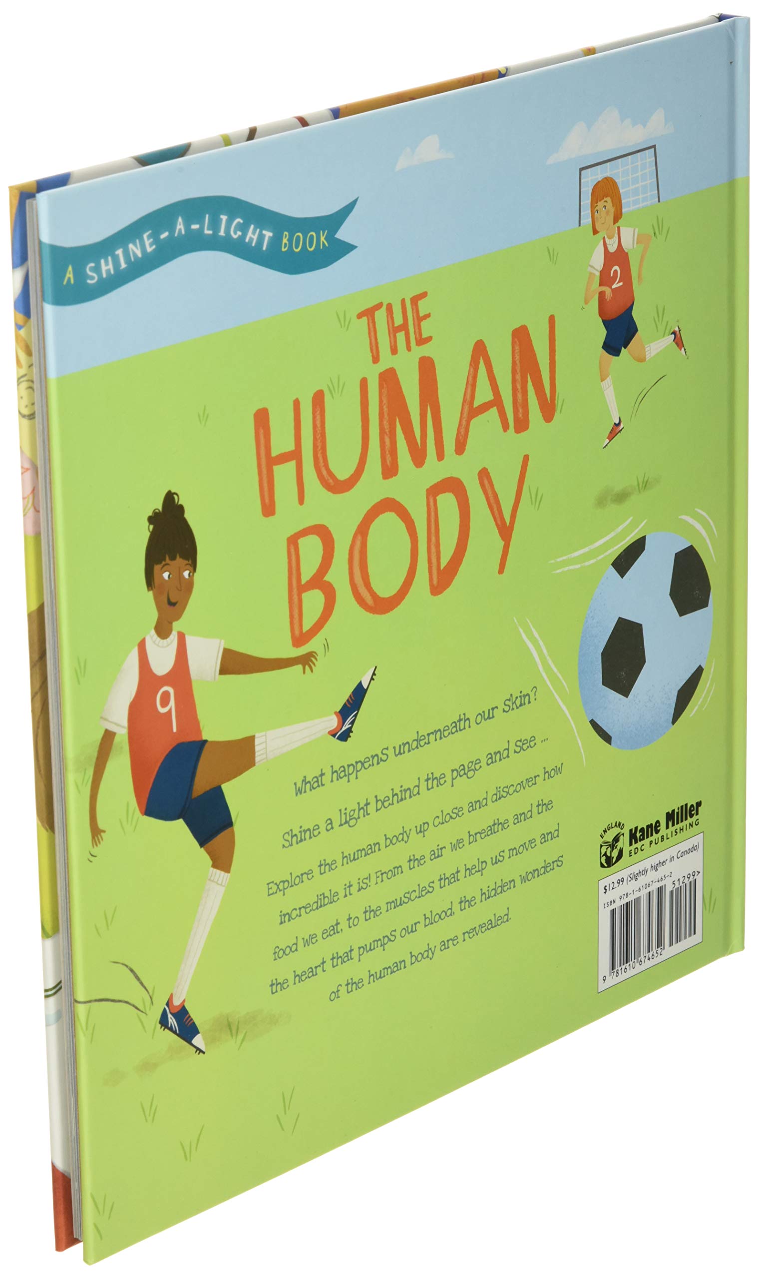 The Human Body (Shine-A-Light)