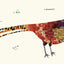 Birds (Multilingual Board Book) (Words of the World Series)