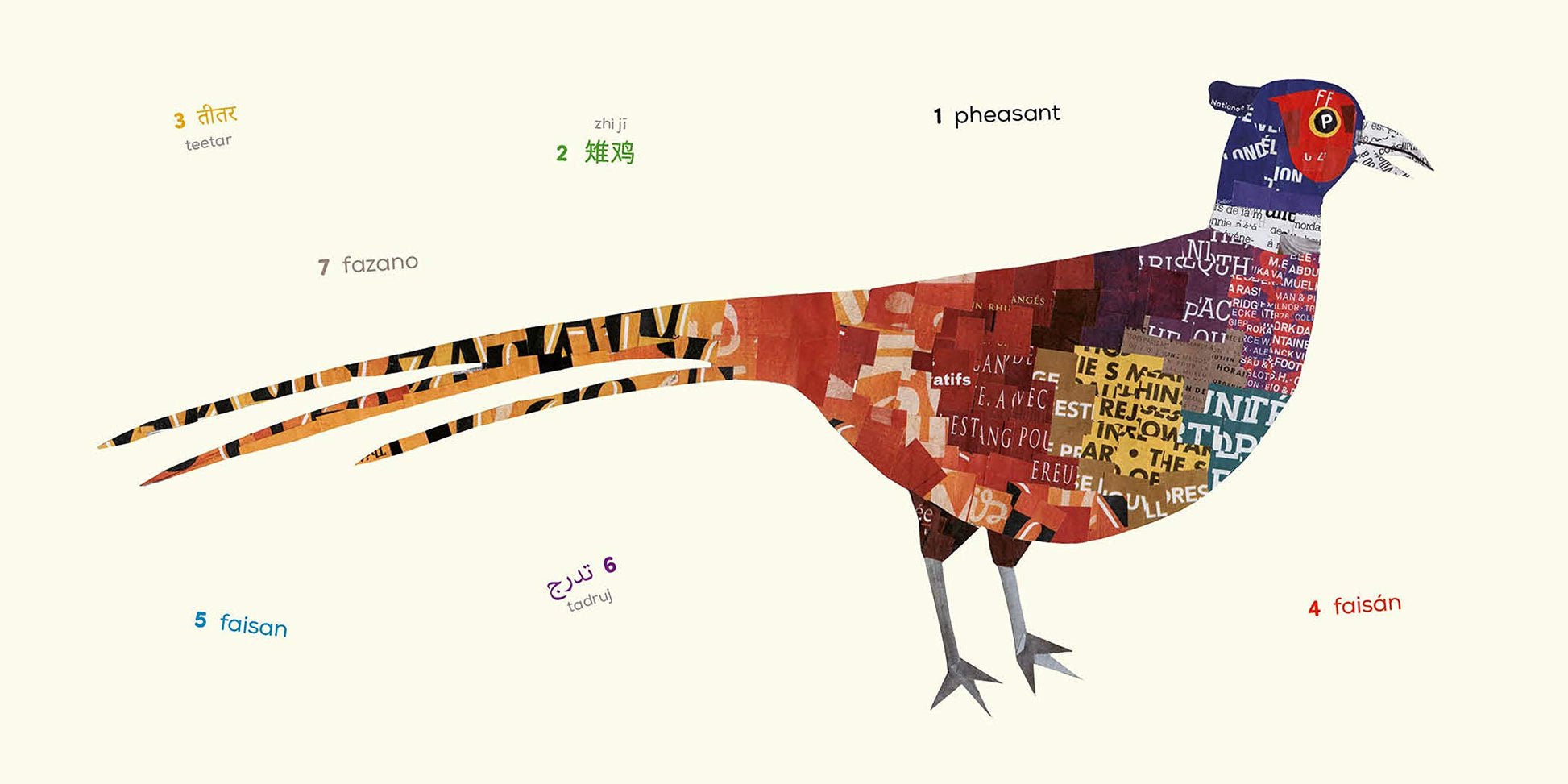 Birds (Multilingual Board Book) (Words of the World Series)