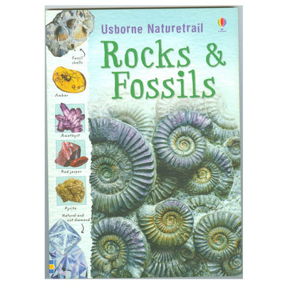 Rocks & Fossils