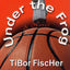 Under the Frog: A Novel
