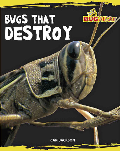 Bugs that Destroy (Bug Alert)