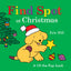 Find Spot at Christmas: A Lift-the-Flap Book
