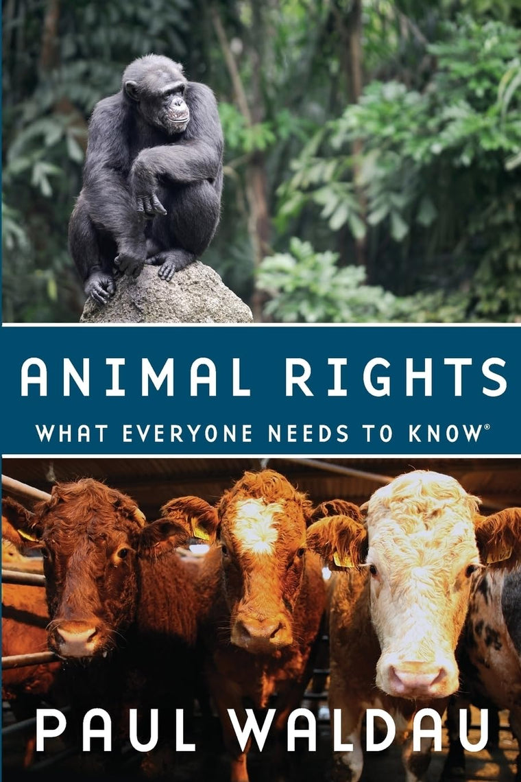 Animal Rights: What Everyone Needs to Know