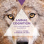 Animal Cognition: Evolution, Behavior and Cognition