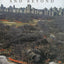 Earthworks And Beyond: Contemporary Art In the Landscape