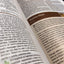 NIV Study Bible, Fully Revised Edition (Study Deeply. Believ