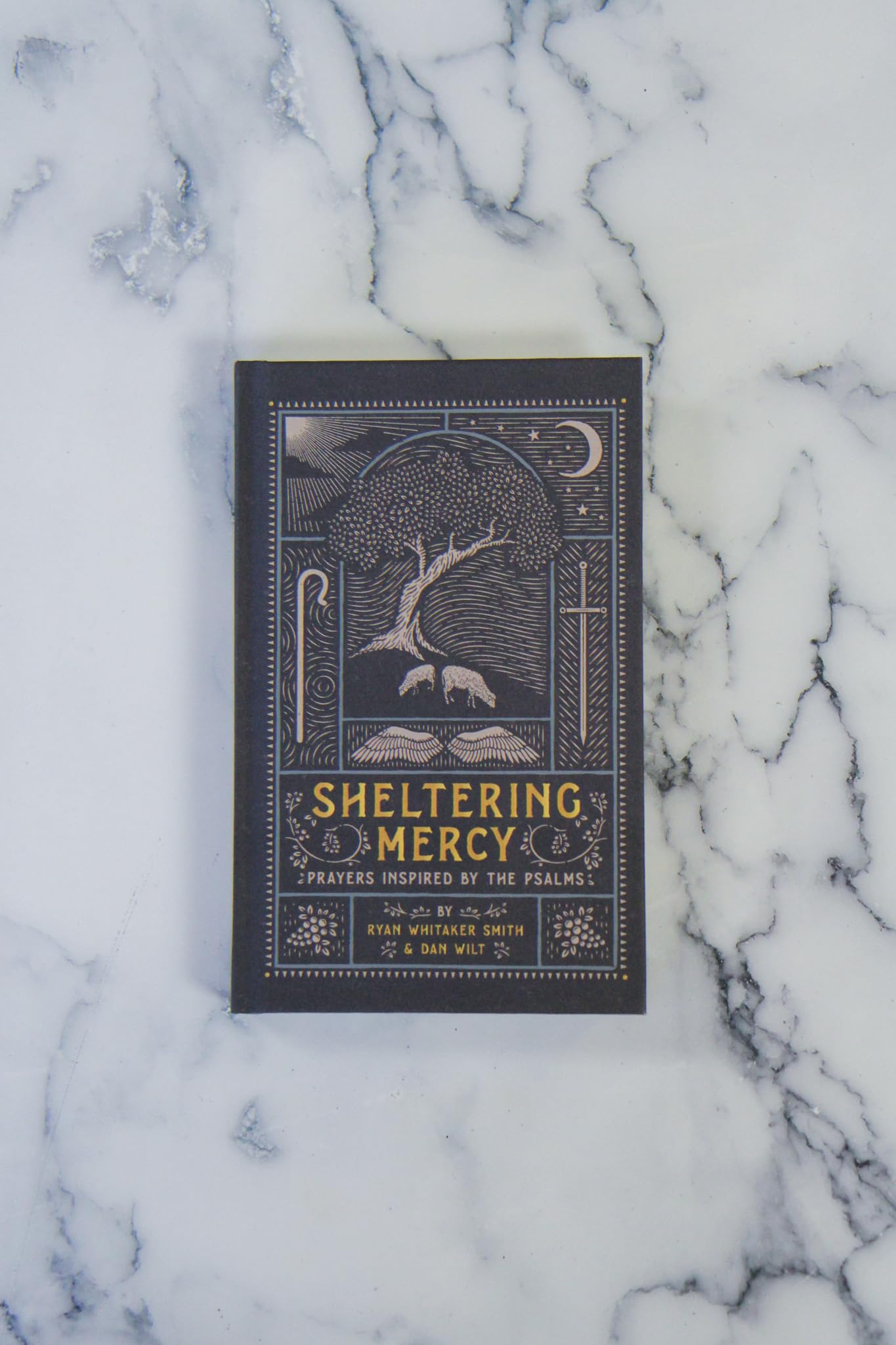 Sheltering Mercy: Prayers Inspired by the Psalms (An Illustrated Devotional Prayer Book with 75 Daily Free-Verse Poetic Prayer Responses - One for Each of the 1st 75 Psalms)