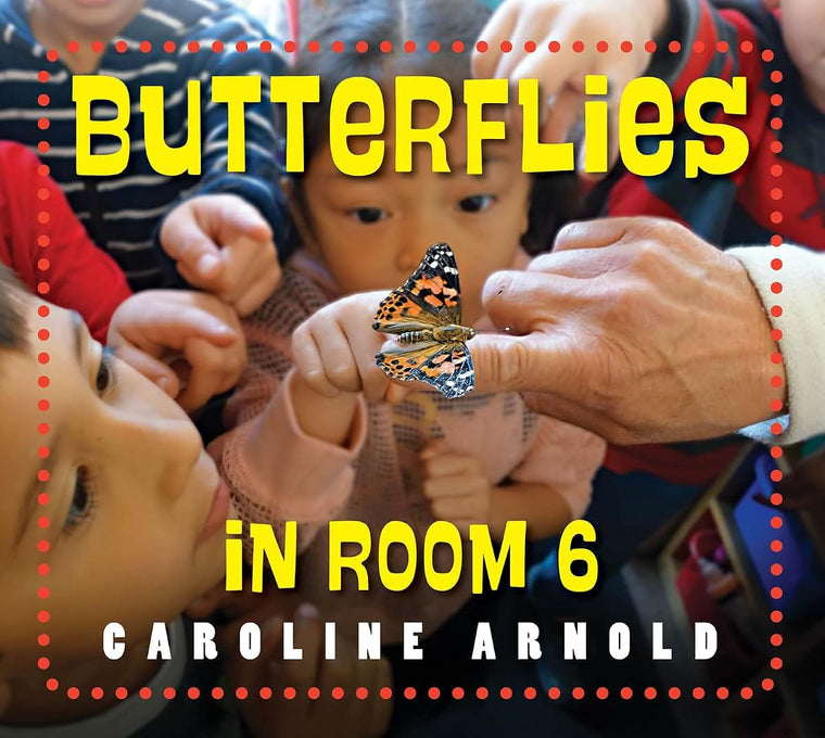 Butterflies in Room 6: See How They Grow (Life Cycles in Room 6)