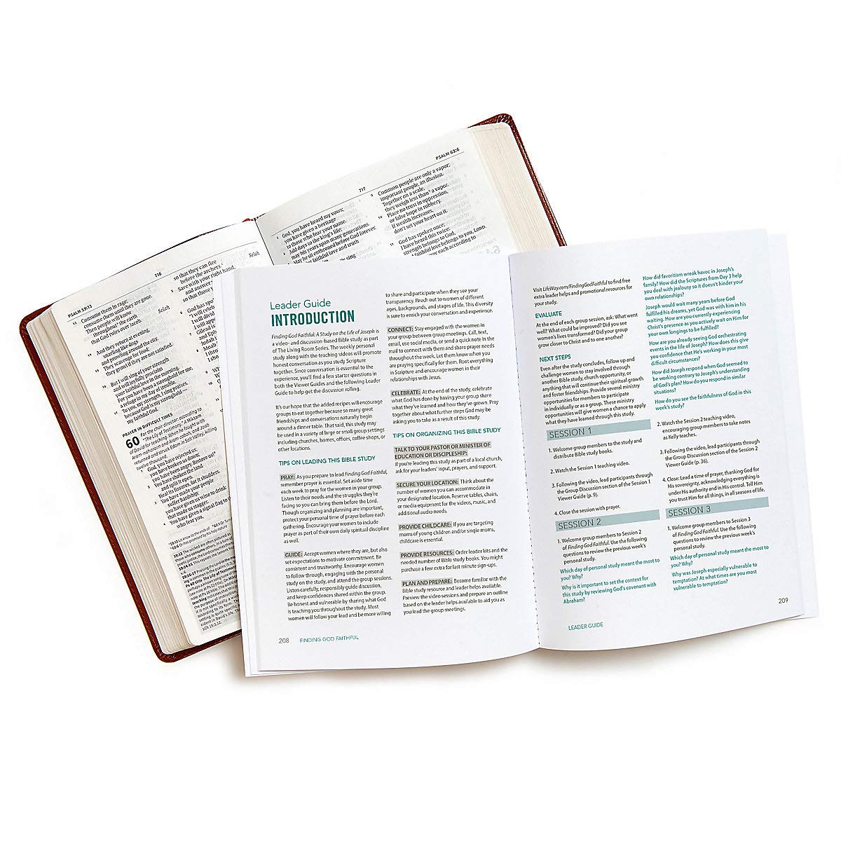 Finding God Faithful - Bible Study Book: A Study on the Life of Joseph (Living Room)