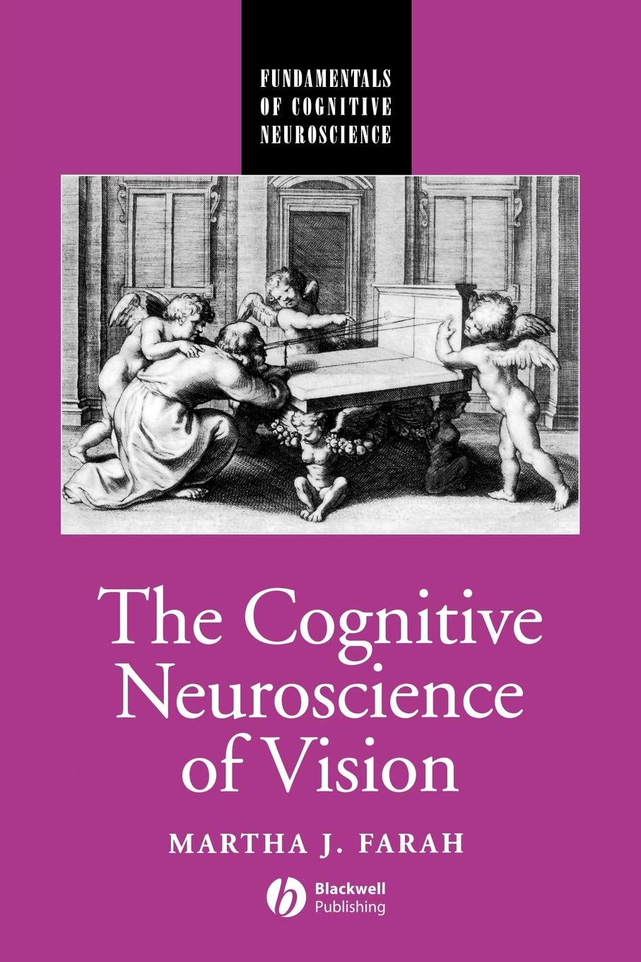 The Cognitive Neuroscience of Vision (Fundamentals of Cognitive Neuroscience)