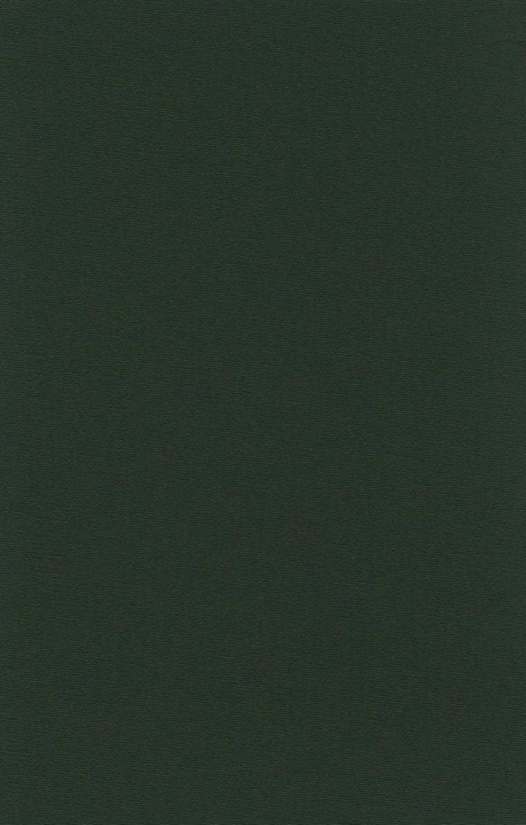 The Junius Manuscript