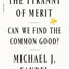 Tyranny of Merit