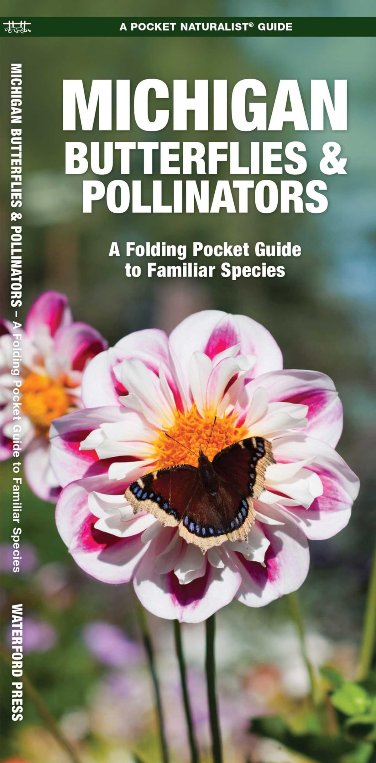 Michigan Butterflies & Pollinators: A Folding Pocket Guide to Familiar Species (Nature Observation North America)