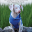 Piglet: The Unexpected Story of a Deaf, Blind, Pink Puppy and His Family