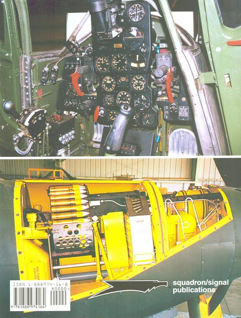 P-39 Airacobra in detail