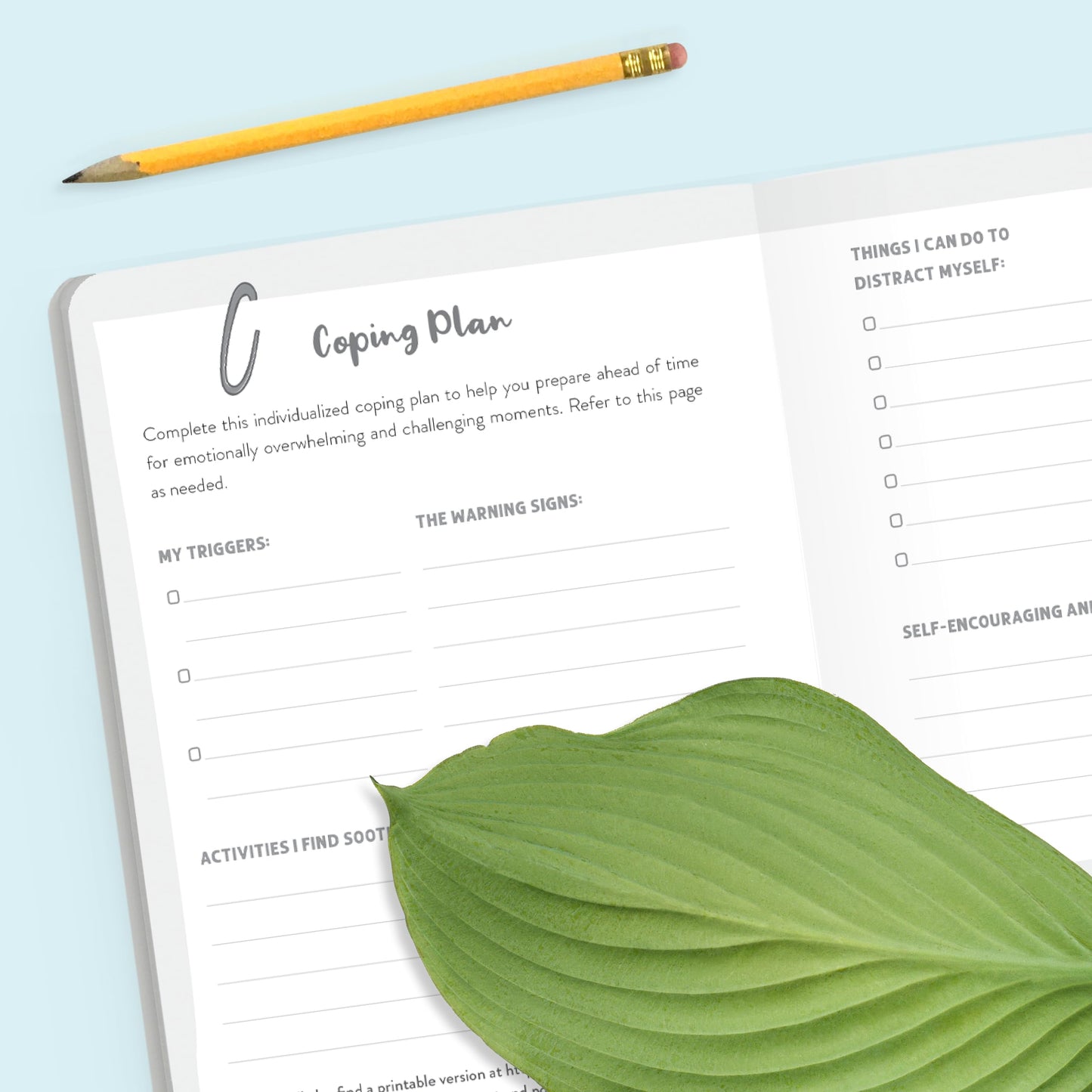 The DBT Skills Daily Journal: 10 Minutes a Day to Soothe Your Emotions with Dialectical Behavior Therapy (The New Harbinger Journals for Change Series)