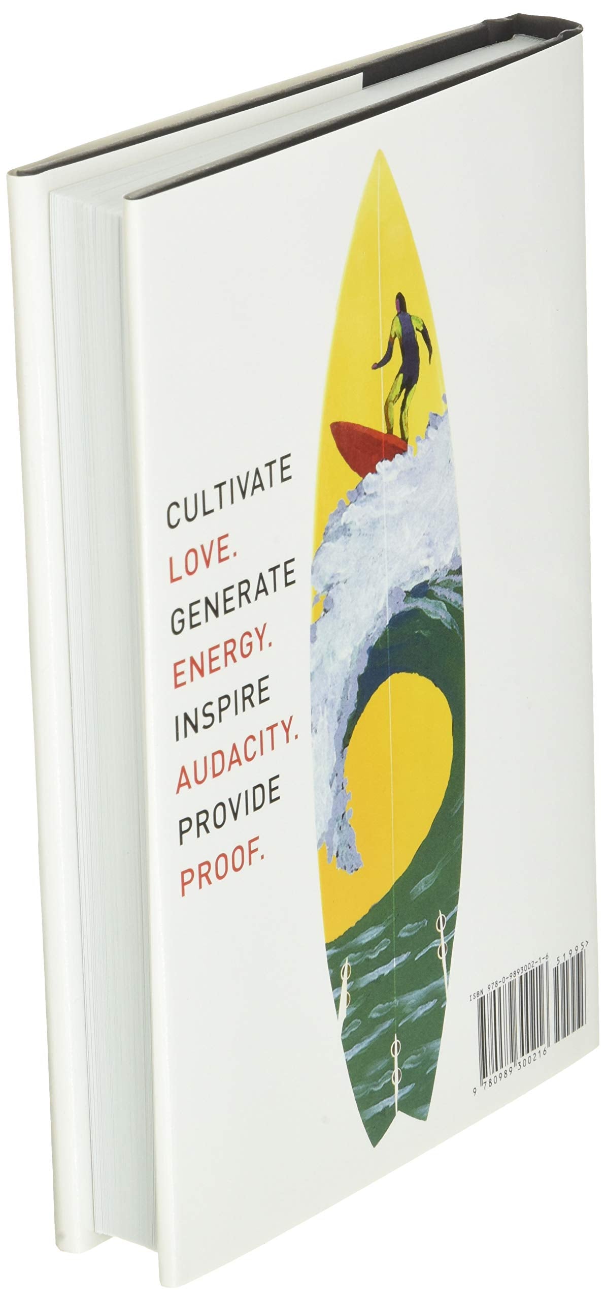 The Radical Leap: Cultivate Love, Generate Energy, Inspire Audacity, Provide Proof (Extreme Leadership series, Book 1)