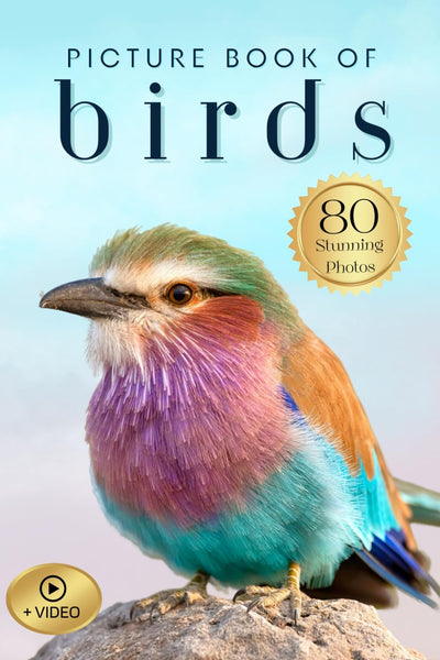 Picture Book of Birds: 80 Stunning Photos and Facts, with Video, for Dementia Patients and Seniors with Alzheimer's (Uplifting Picture Books)