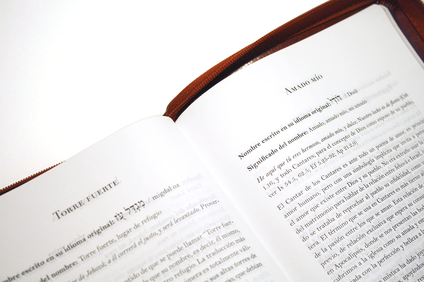 Biblia RVR 1960 letra grande tamao manual cremallera e ndice canela nombres de Dios / Spanish Bible RV60 Handy Size Large Print Brown Names of God Index Zi (Spanish Edition)