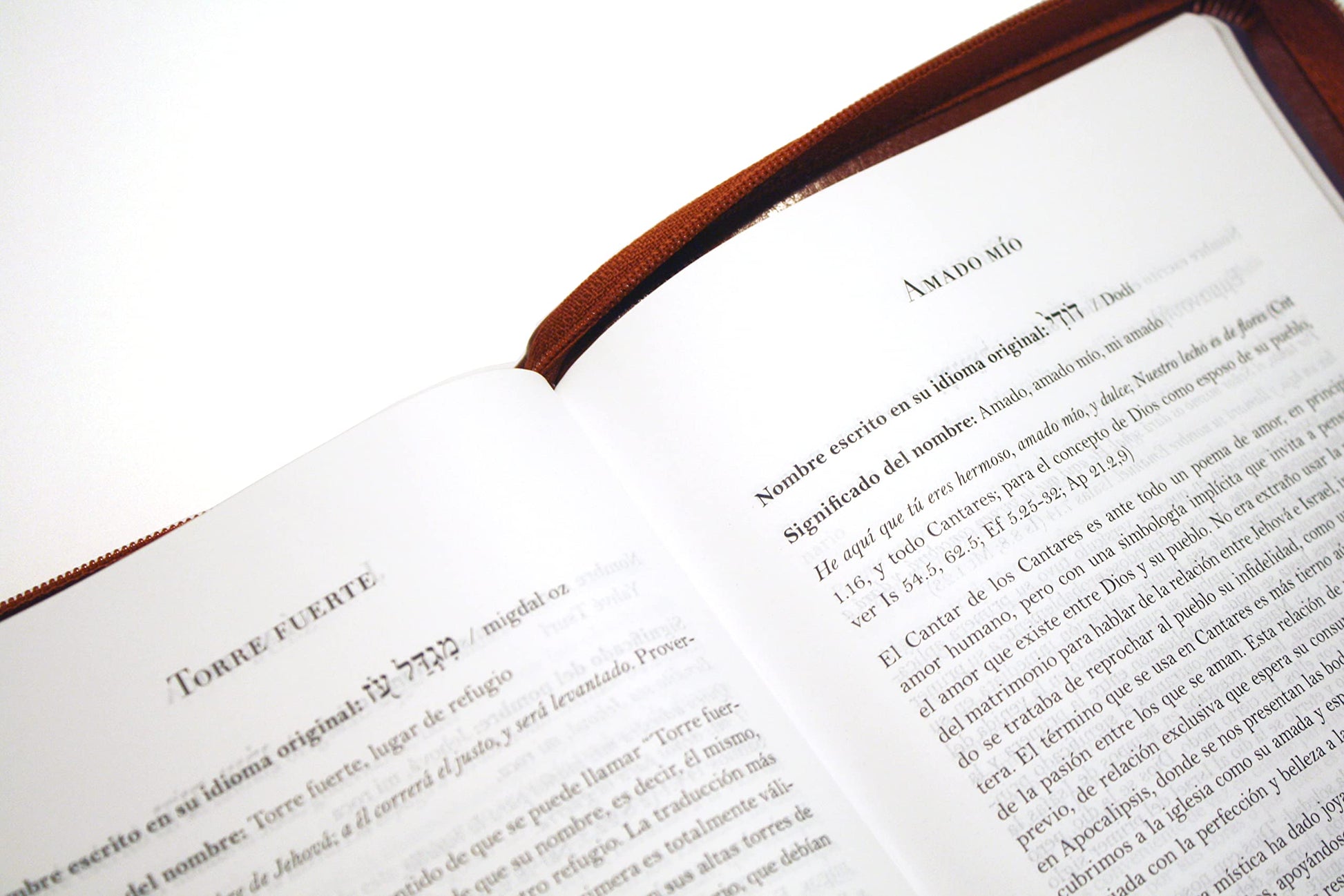 Biblia RVR 1960 letra grande tamao manual cremallera e ndice canela nombres de Dios / Spanish Bible RV60 Handy Size Large Print Brown Names of God Index Zi (Spanish Edition)