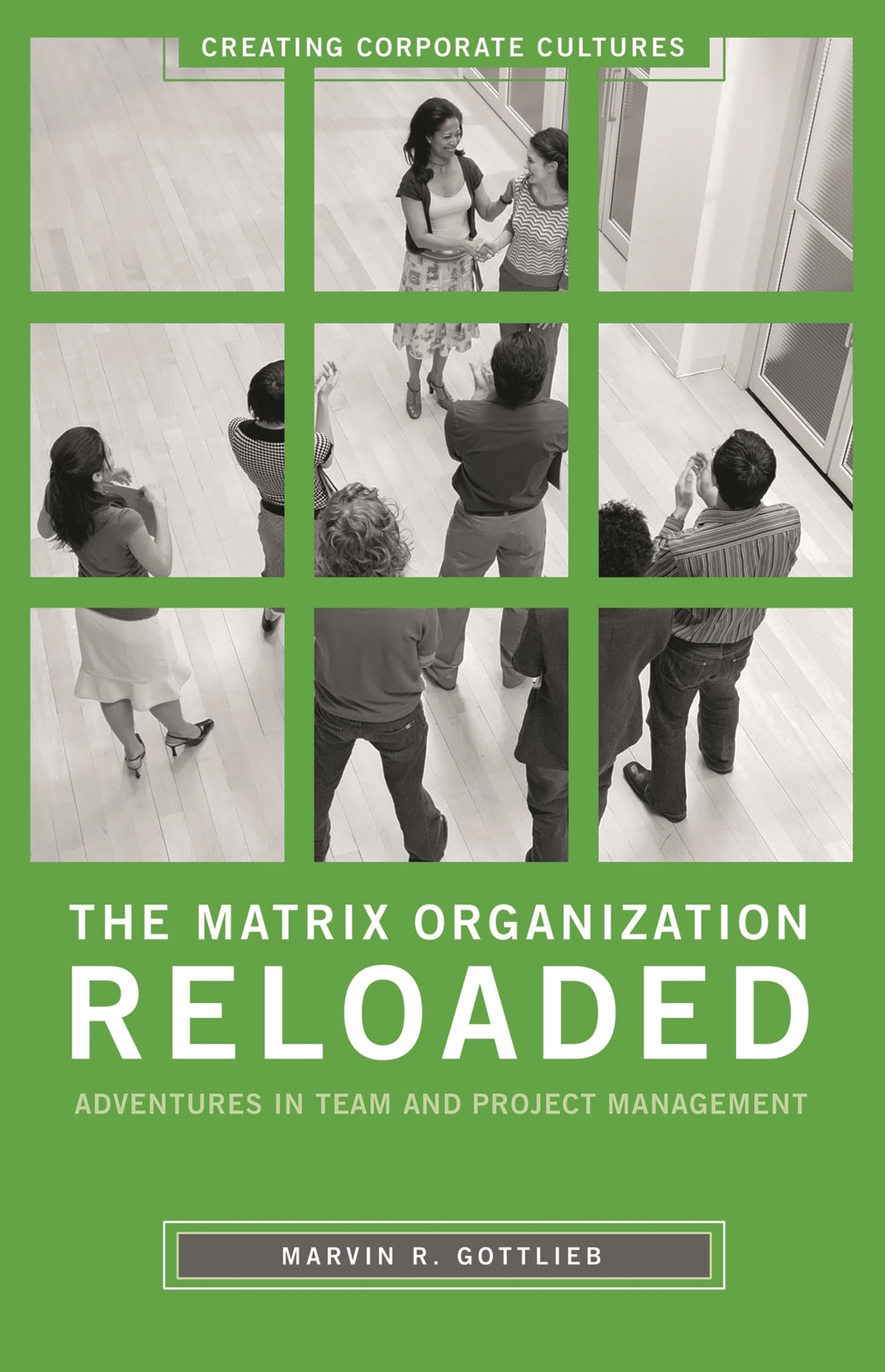 The Matrix Organization Reloaded: Adventures in Team and Project Management (Creating Corporate Cultures)
