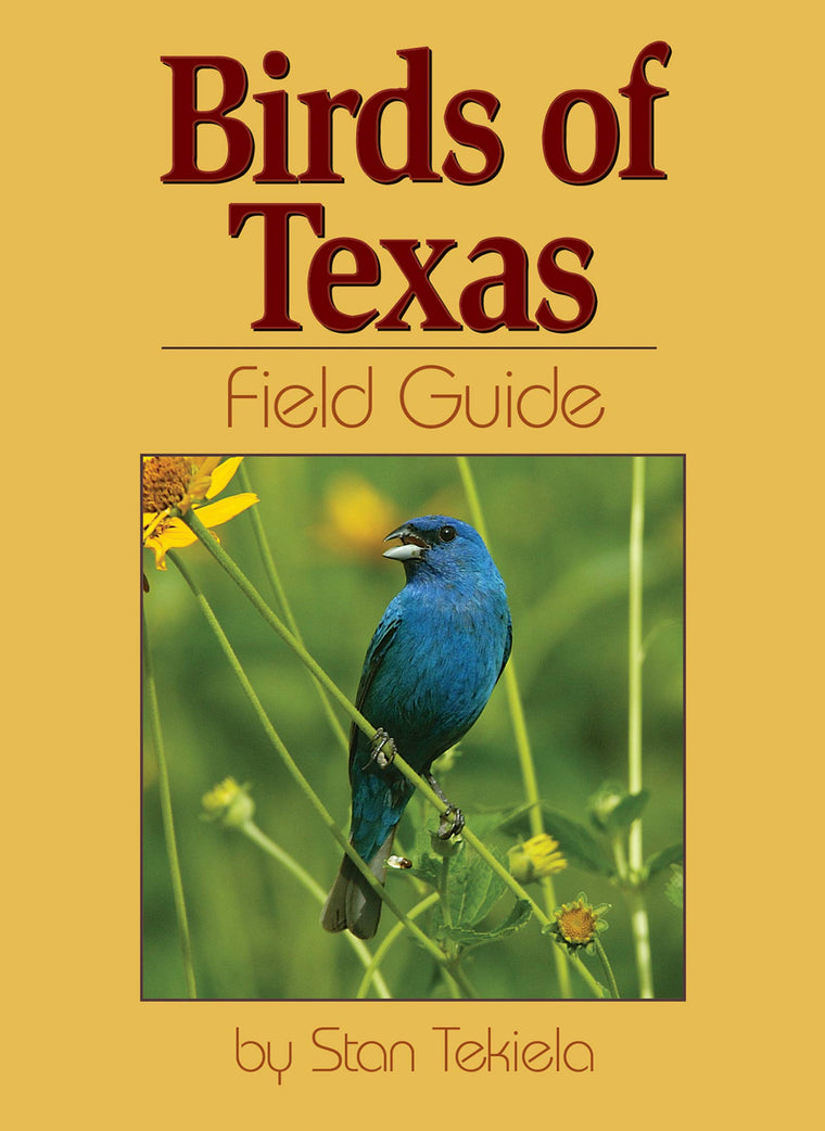 Birds of Texas Field Guide (Bird Identification Guides)